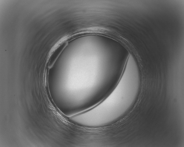 X0000086051180200703230912