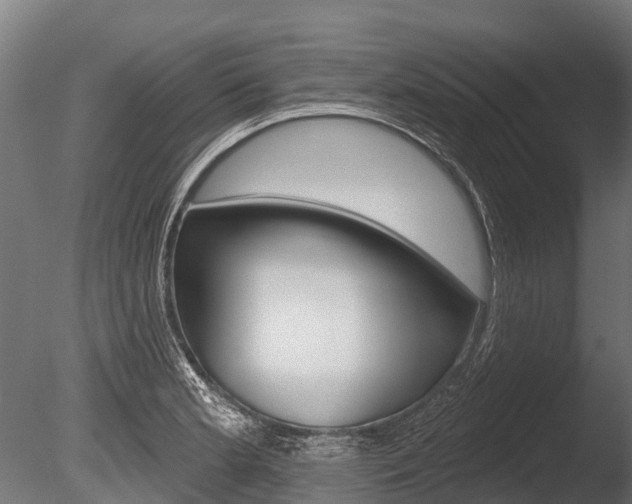 X0000086051181200703230912