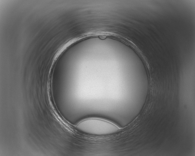 X0000086051187200703230912