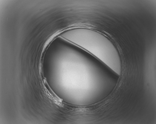 X0000086051188200703230912