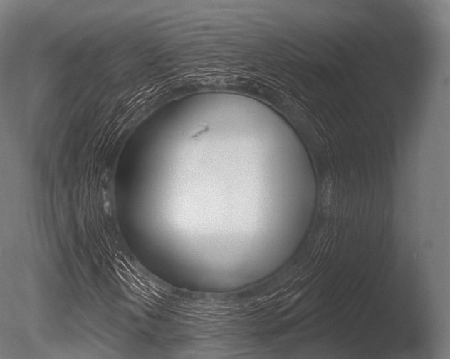 X0000086051202200703230911