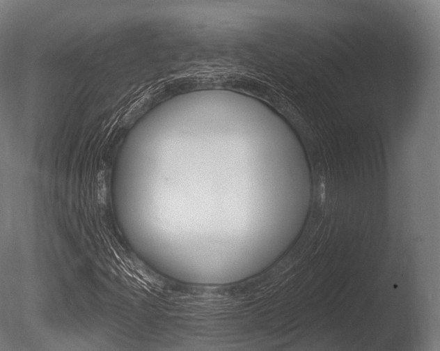 X0000086051204200703230911