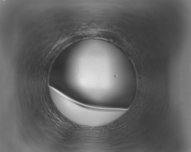 X0000086051206200703230911