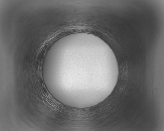 X0000086051207200703230911