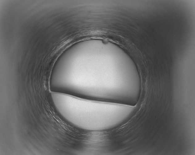 X0000086051209200703230911