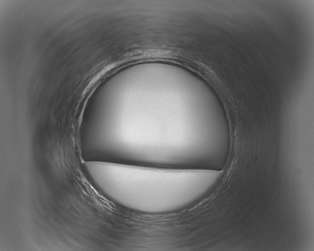 X0000086051212200703230911