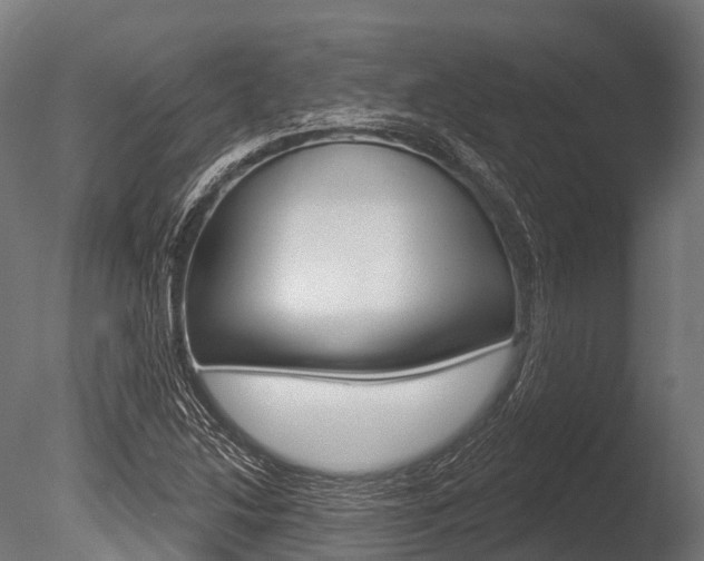X0000086051214200703230911