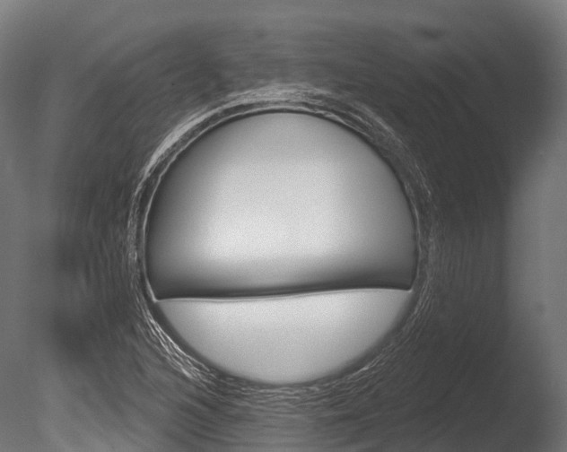X0000086051216200703230912