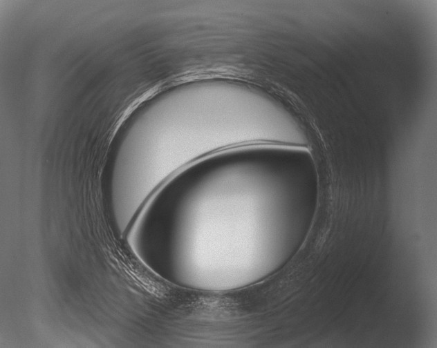 X0000086051218200703230912