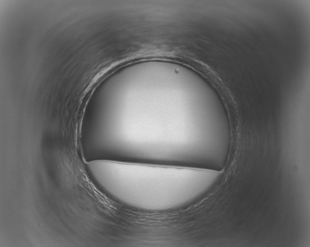 X0000086051220200703230912