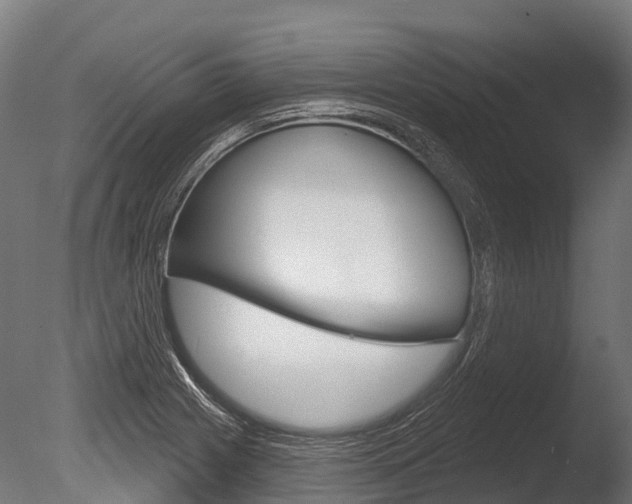 X0000086051225200703230912