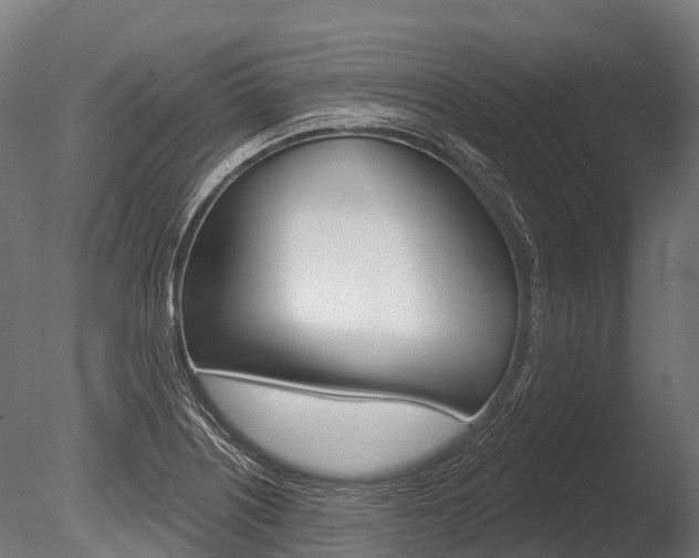 X0000086051226200703230912