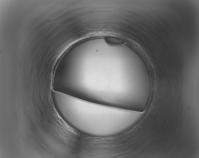 X0000086051228200703230912