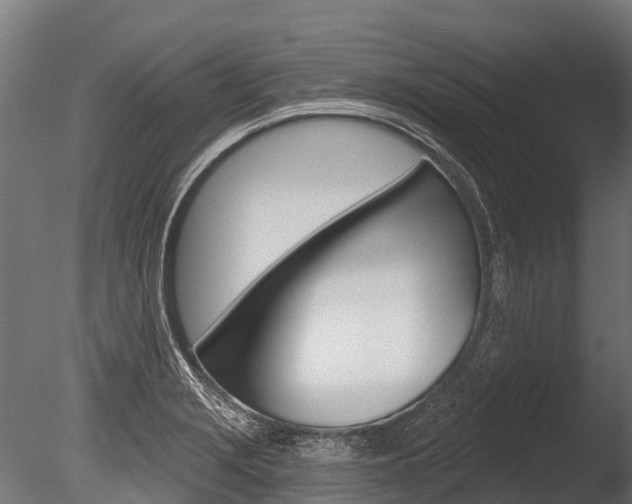 X0000086051229200703230912