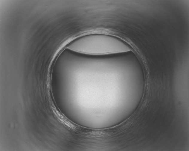 X0000086051232200703230912
