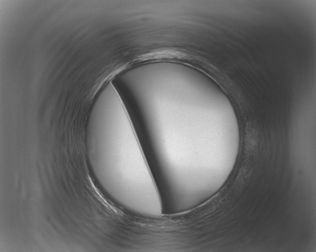 X0000086051233200703230912
