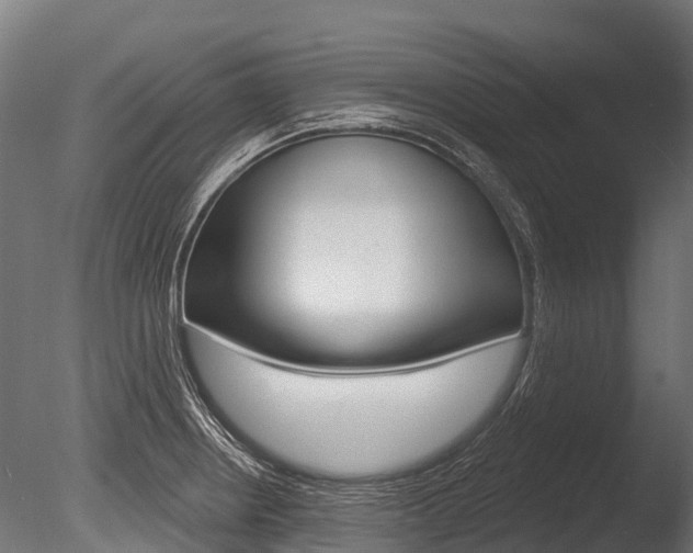 X0000086051234200703230912