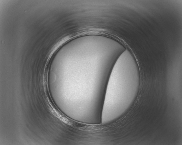 X0000086051235200703230912