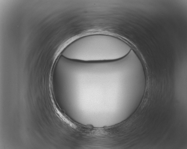 X0000086051239200703230912