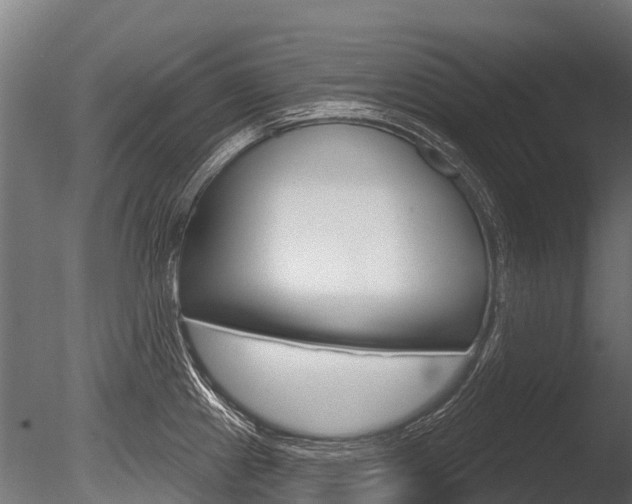 X0000086051241200703230912
