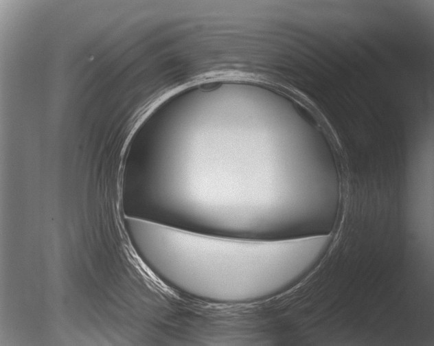 X0000086051244200703230912