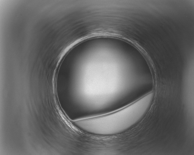 X0000086051246200703230912