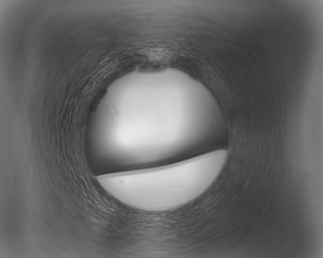 X0000086051249200703230911