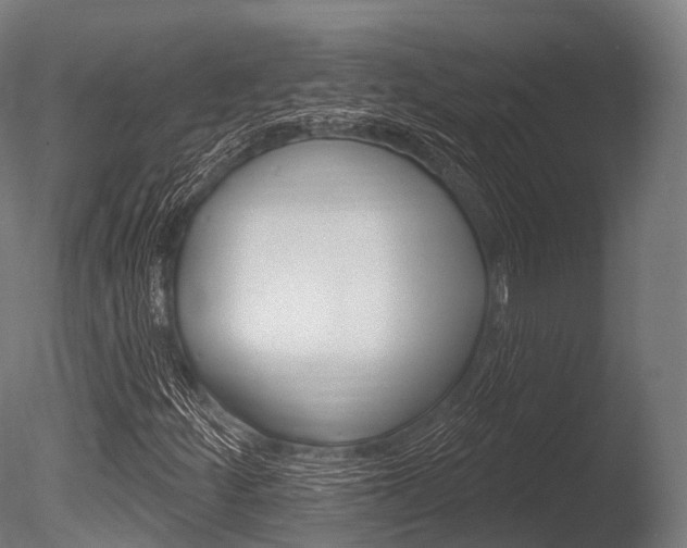 X0000086051252200703230911