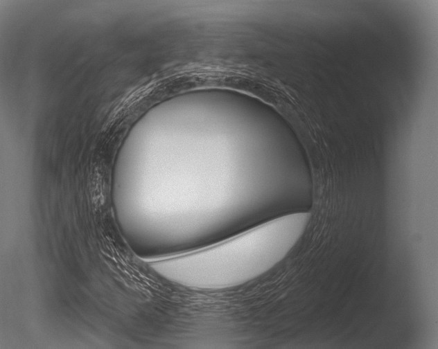 X0000086051253200703230911