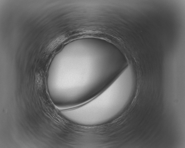 X0000086051257200703230911
