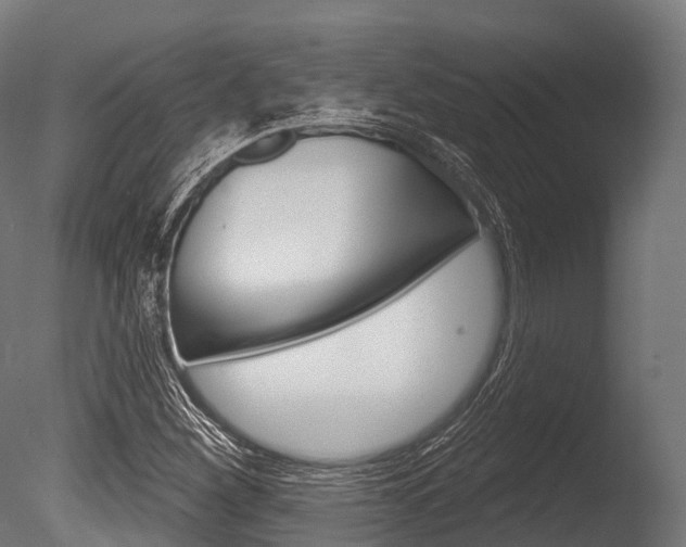X0000086051260200703230911