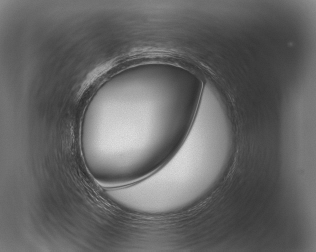 X0000086051261200703230911
