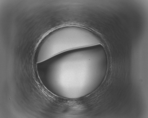 X0000086051264200703230911
