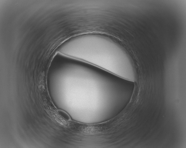 X0000086051265200703230911