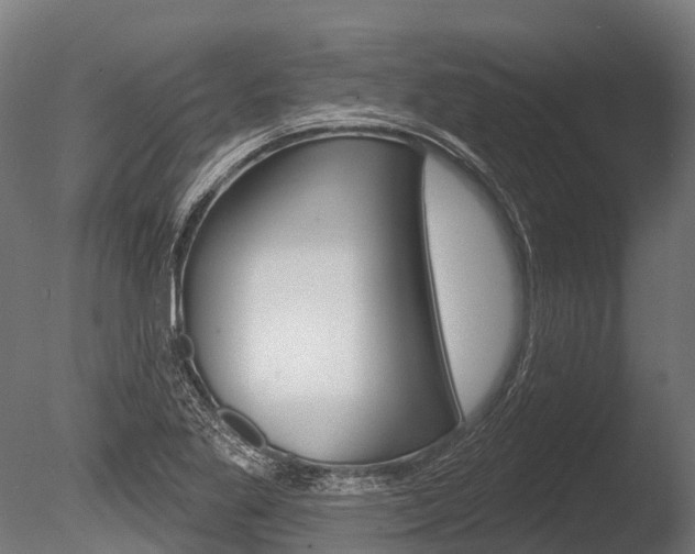 X0000086051269200703230911