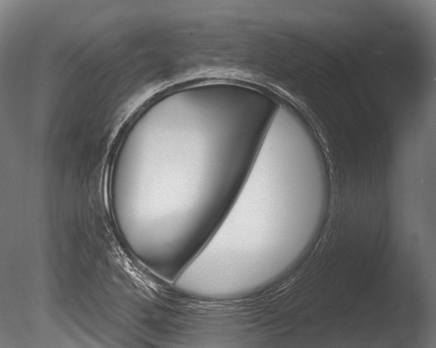 X0000086051272200703230911