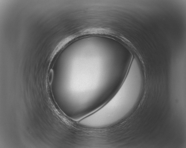 X0000086051277200703230911