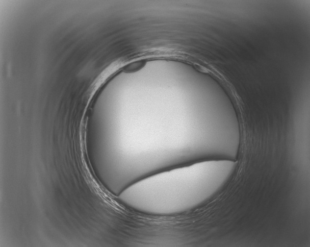 X0000086051291200703230911