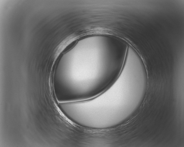 X0000086051293200703230910