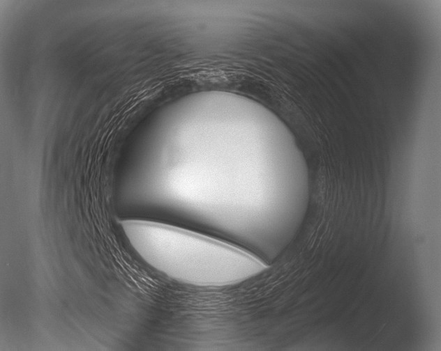 X0000086051297200703230910