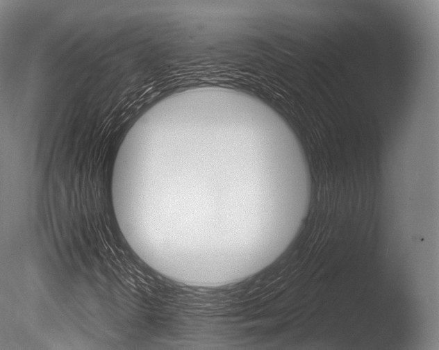 X0000086051298200703230910