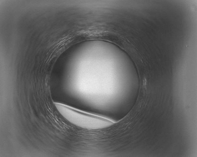 X0000086051300200703230910