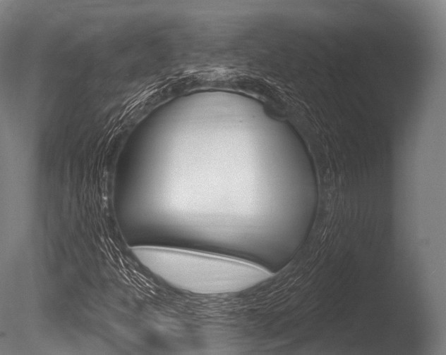 X0000086051301200703230910