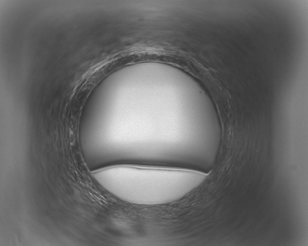 X0000086051303200703230910