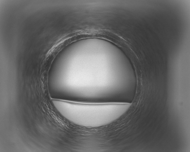X0000086051304200703230910