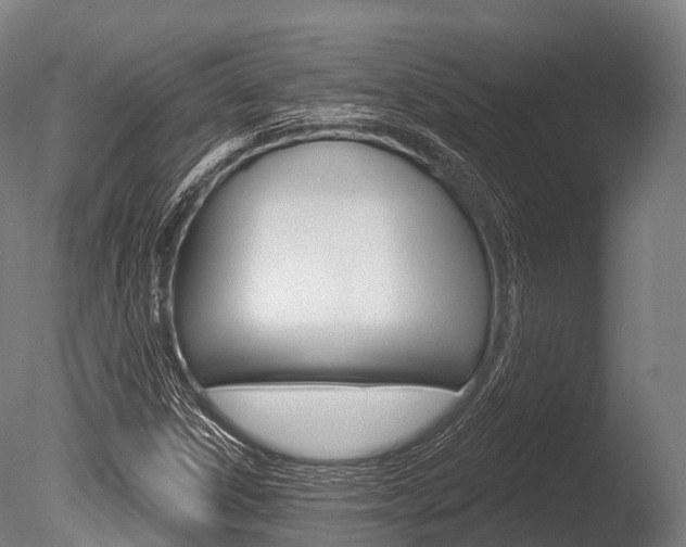 X0000086051306200703230910