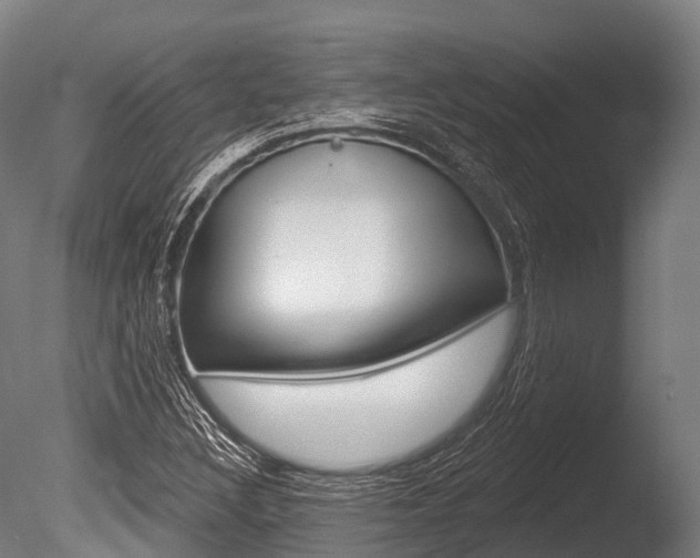 X0000086051308200703230910