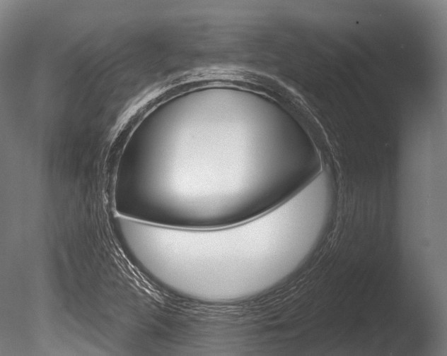 X0000086051312200703230910