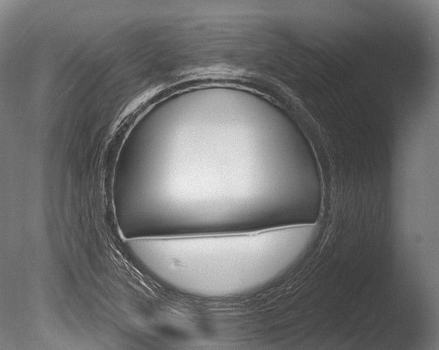 X0000086051315200703230910