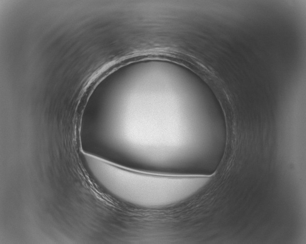 X0000086051316200703230910